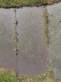 image of grave number 764124